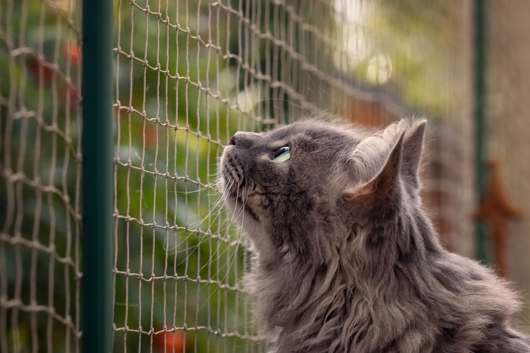 Mit Netz Balkon katzensicher machen