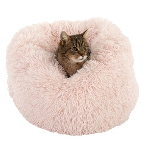 Katt i kattsäng Mochi
