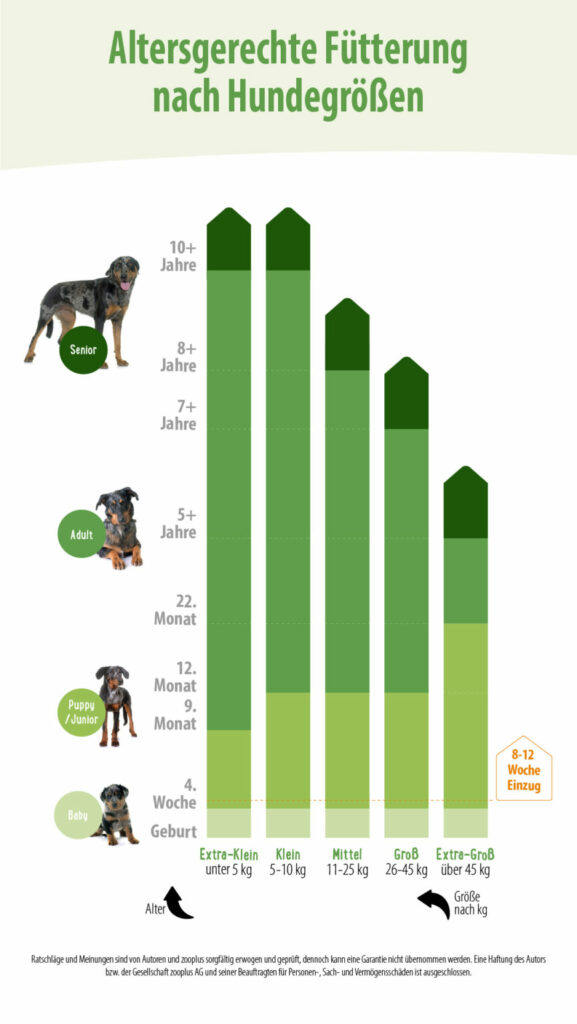 Altersgerechte-Fütterung-Hunde-Tabelle-865×1536 Byte av hundens foder tabell