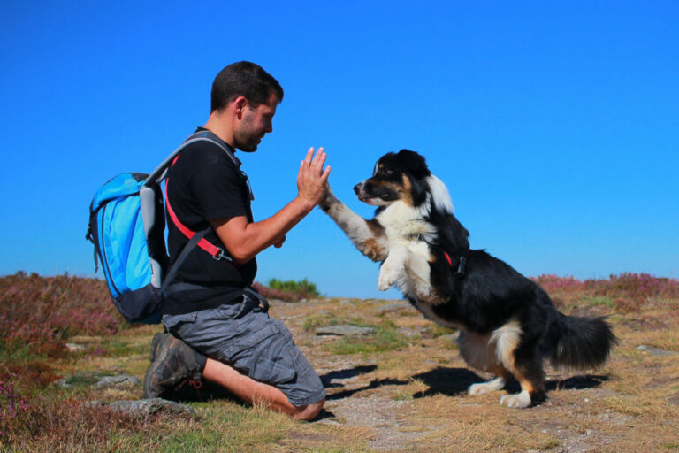 hundtrick high five