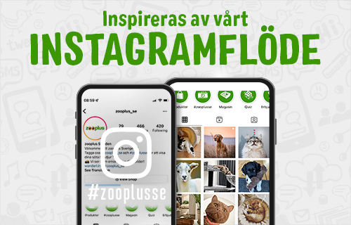 se_instagram_2022_1