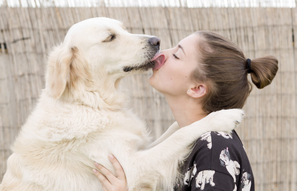en hund som pussar matte