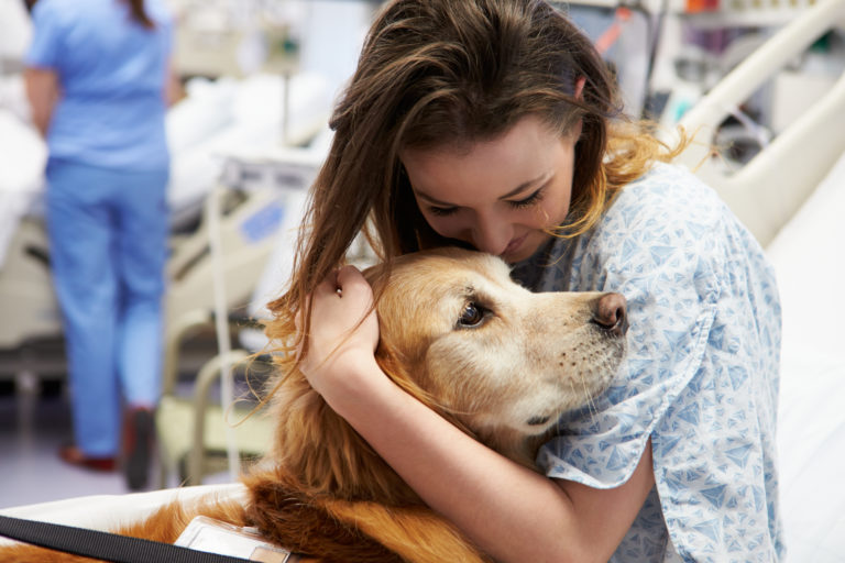 Terapihund besöker en ung kvinna på sjukhuset