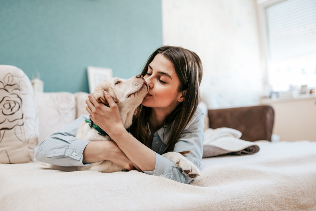 hund älskar sin ägare