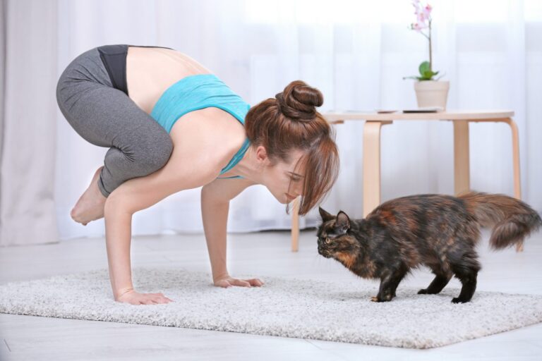 kattyoga