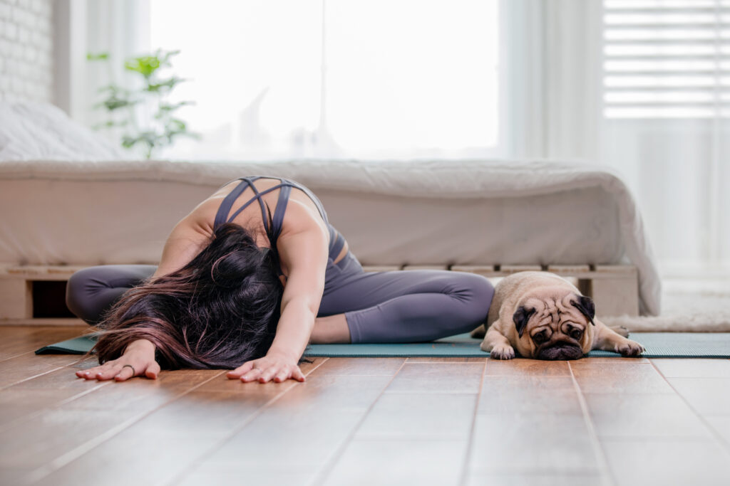 matte och hund gör yoga