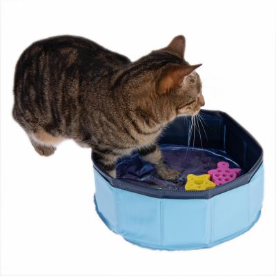 Kattillbehör för sommaren - kitty pool