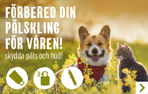 se_zooplus_spring_campaign_care_1